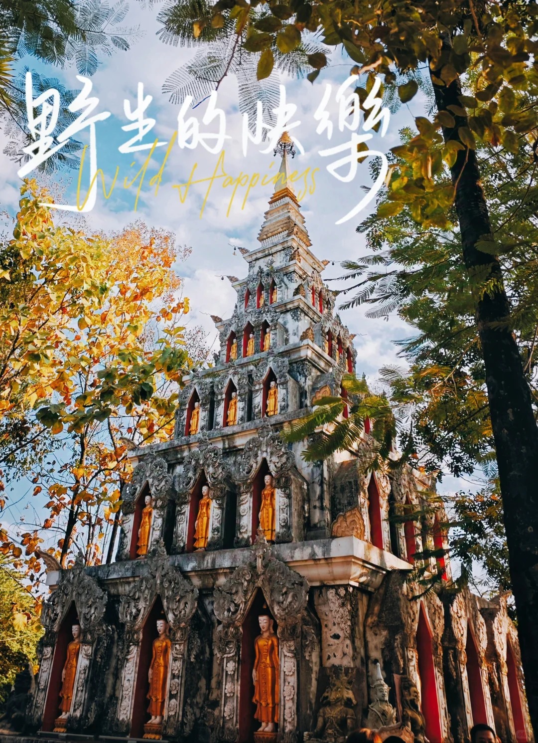 第八次云南行（3）：走进告庄_2_偶然